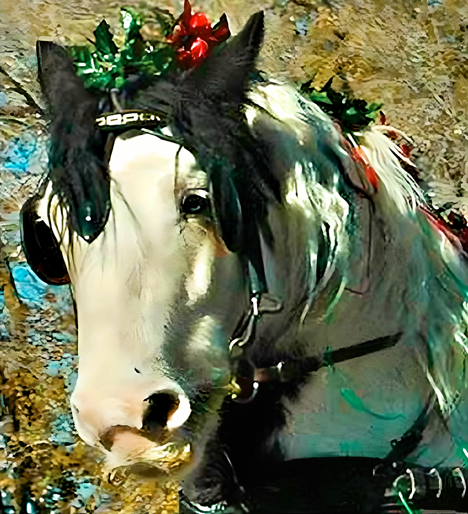 Christmas-De-Caballos-John-Tunberg