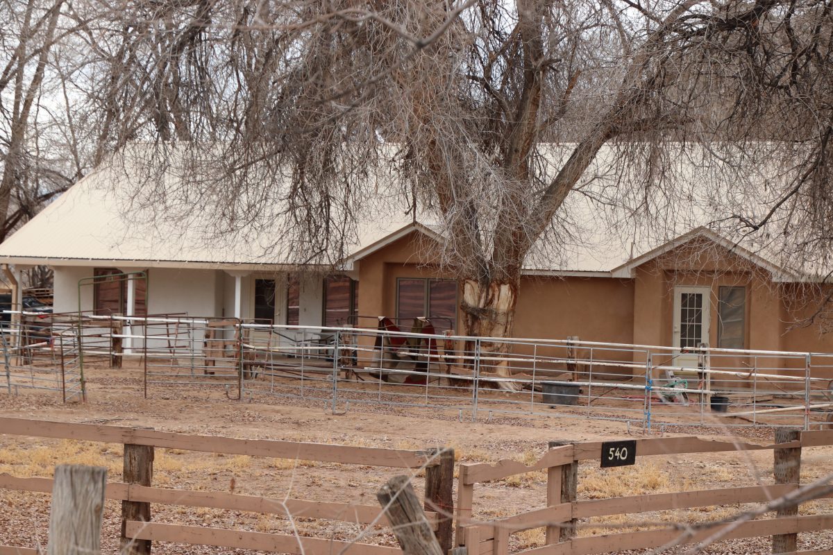 Homicide location / Corrales