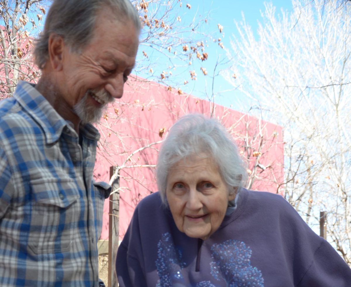 volunteer for Village in the Village