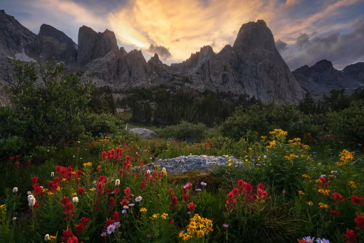 (U.S. Forest Service)