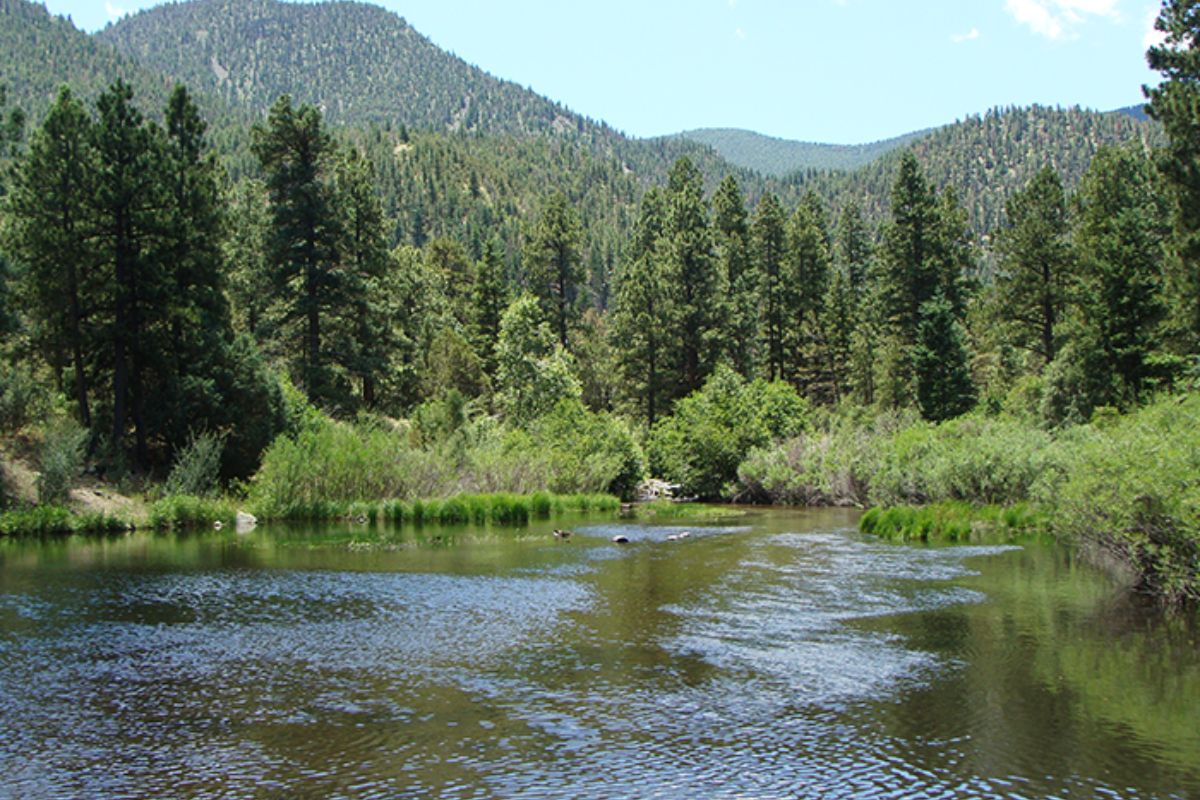 New Mexico's state parks contributed $266 million to the state's economy in 2024 while supporting more than 5,000 jobs, according to a new study released Monday by the state Energy, Minerals and Natural Resources Department.