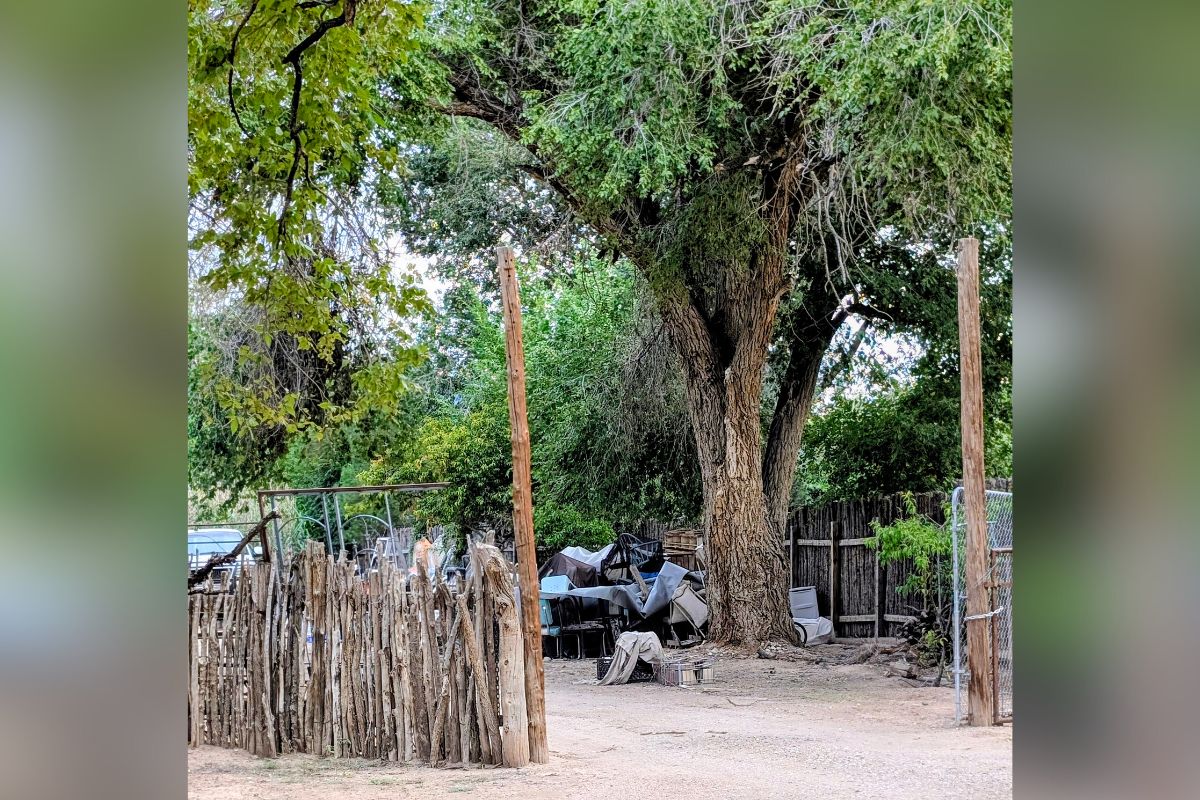 The owners of a Corrales property described by neighbors and village officials as a public nuisance have appealed a clean-and-lien order and now face a public hearing before the Village Council.