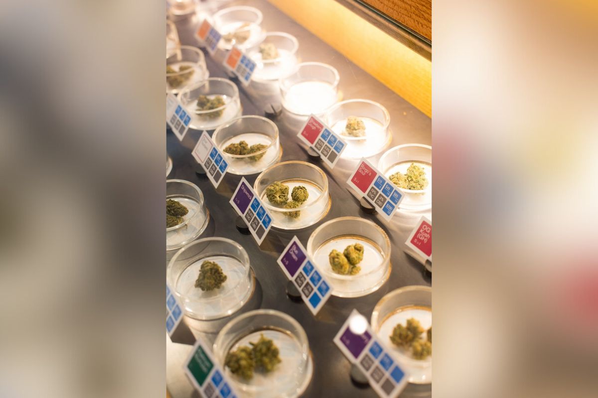 In the East Mountains, four new dispensaries have popped up, while two have disappeared