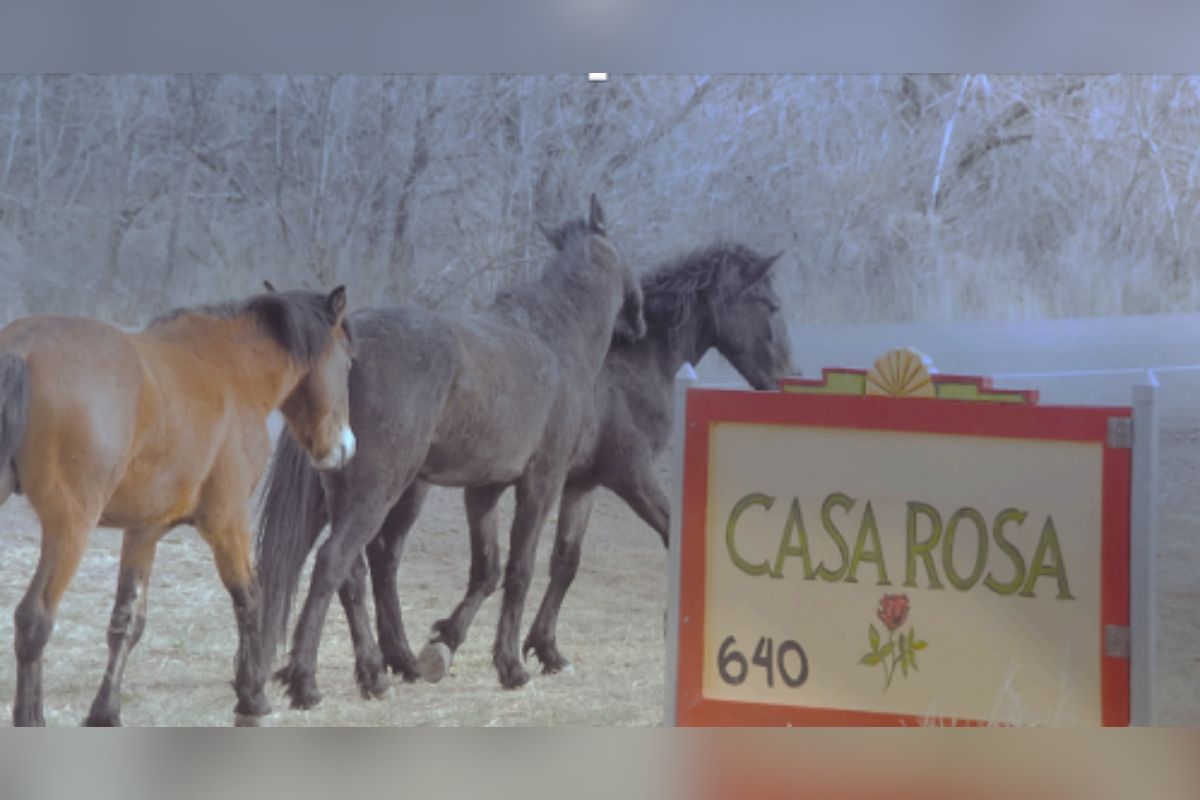 Casa Rosa Food Pantry is seeking $25 donations from each Placitas resident during October to support neighbors facing food insecurity.