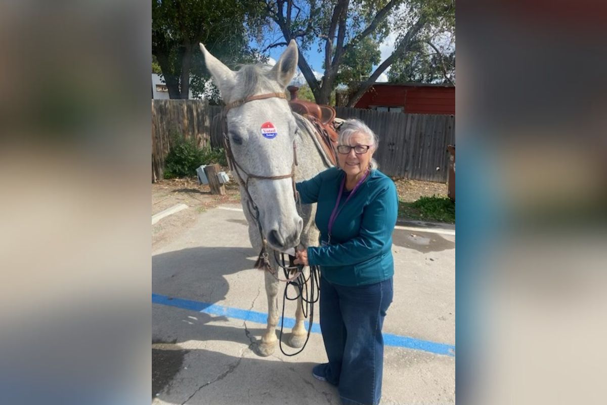 A poll worker at the Community Center last week watched over a voter's horse, Paco, while the owner cast a ballot.