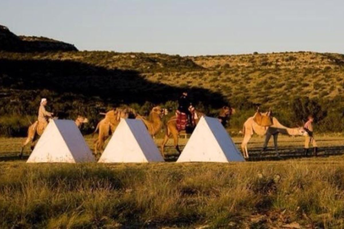 The Texas Camel Corps at a historical re-enactment campout. Credit: Courtesy of Doug Baum, Texas Camel Corps