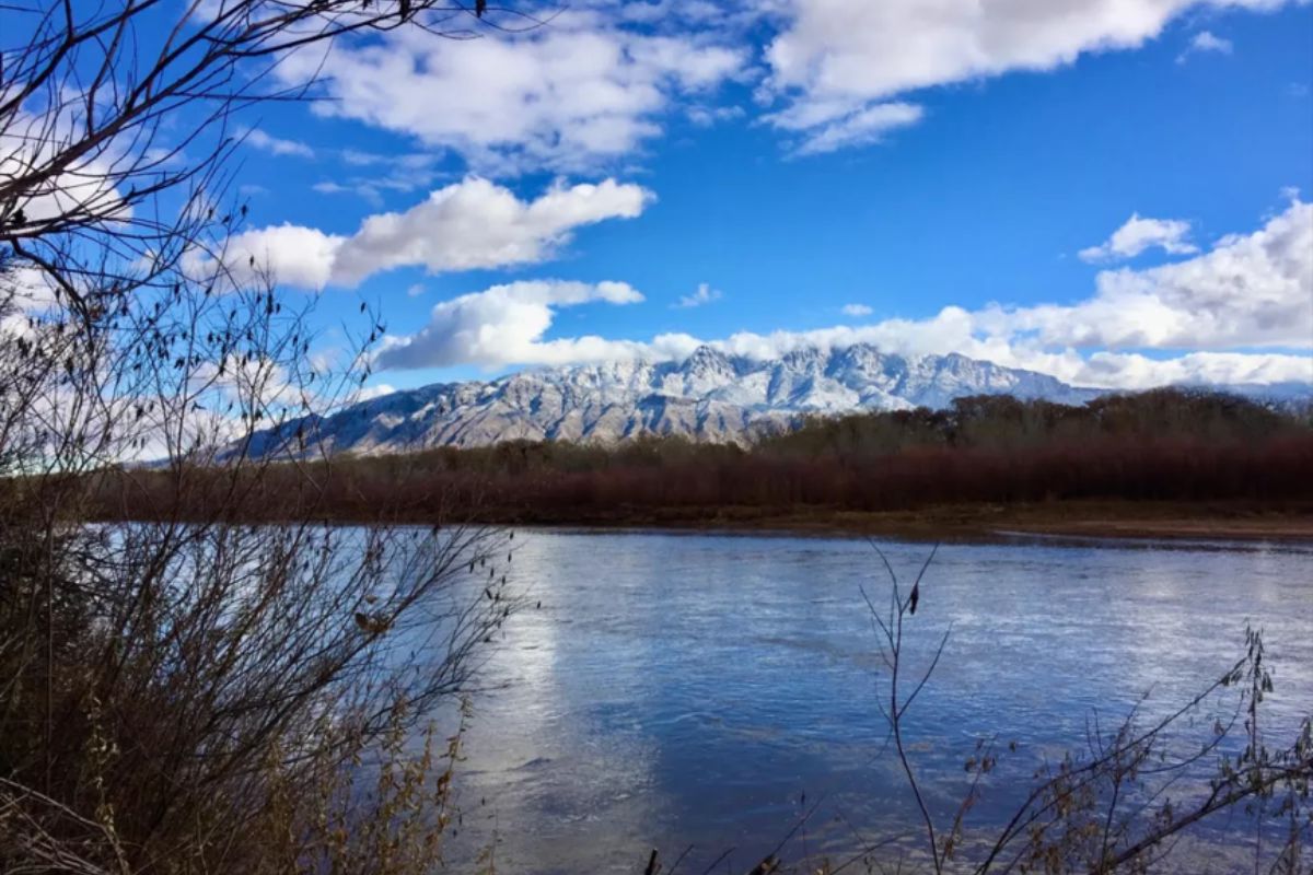 A 100-acre section of the Corrales Bosque will be closed to the public for nearly a month starting this week as crews work to remove invasive species and reduce fire hazards.