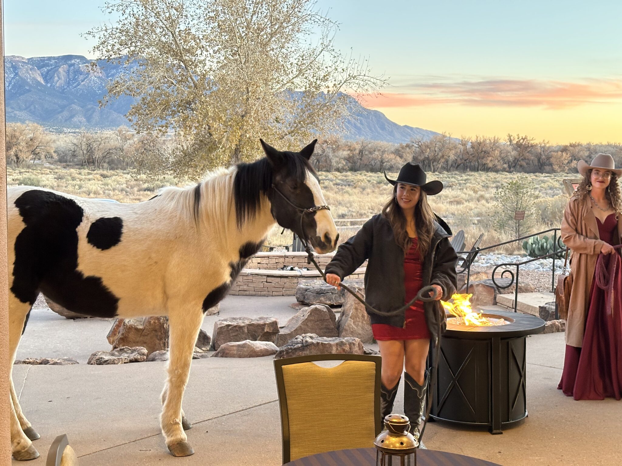 Horse lovers can now grab tickets to the 2026 Horseshoes & Heels Gala, the annual fundraiser keeping rescued and rehabilitated horses fed, trained and cared for at the Stables at Tamaya. (Courtesy photo)