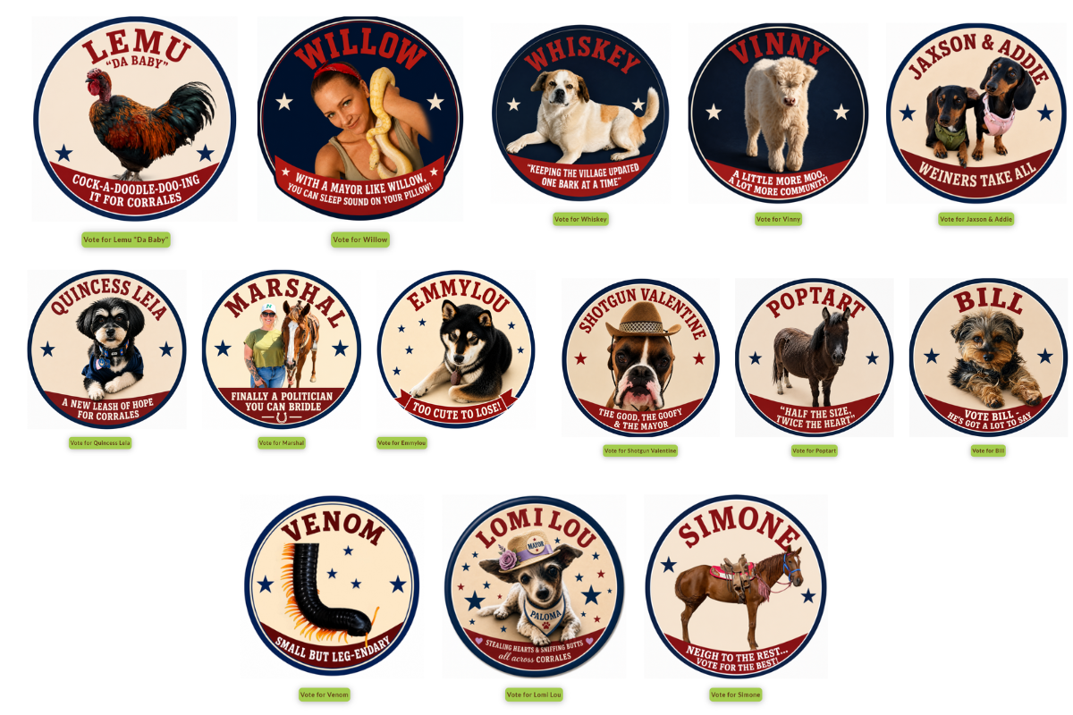 Corrales goes to the dogs (and roosters, cows and centipedes): 14 pets vie for mayor’s office