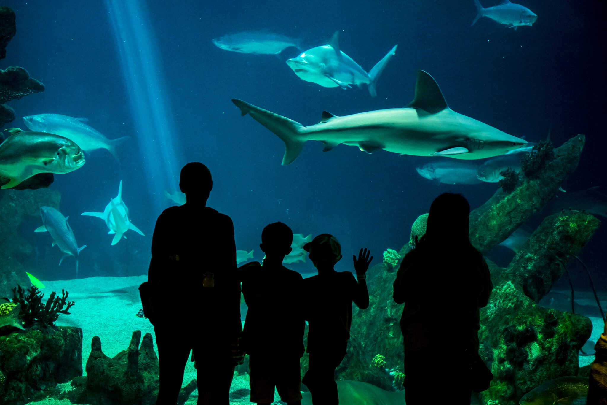 A day off and a day out?  Labor Day weekend offers a plethora of leisure options