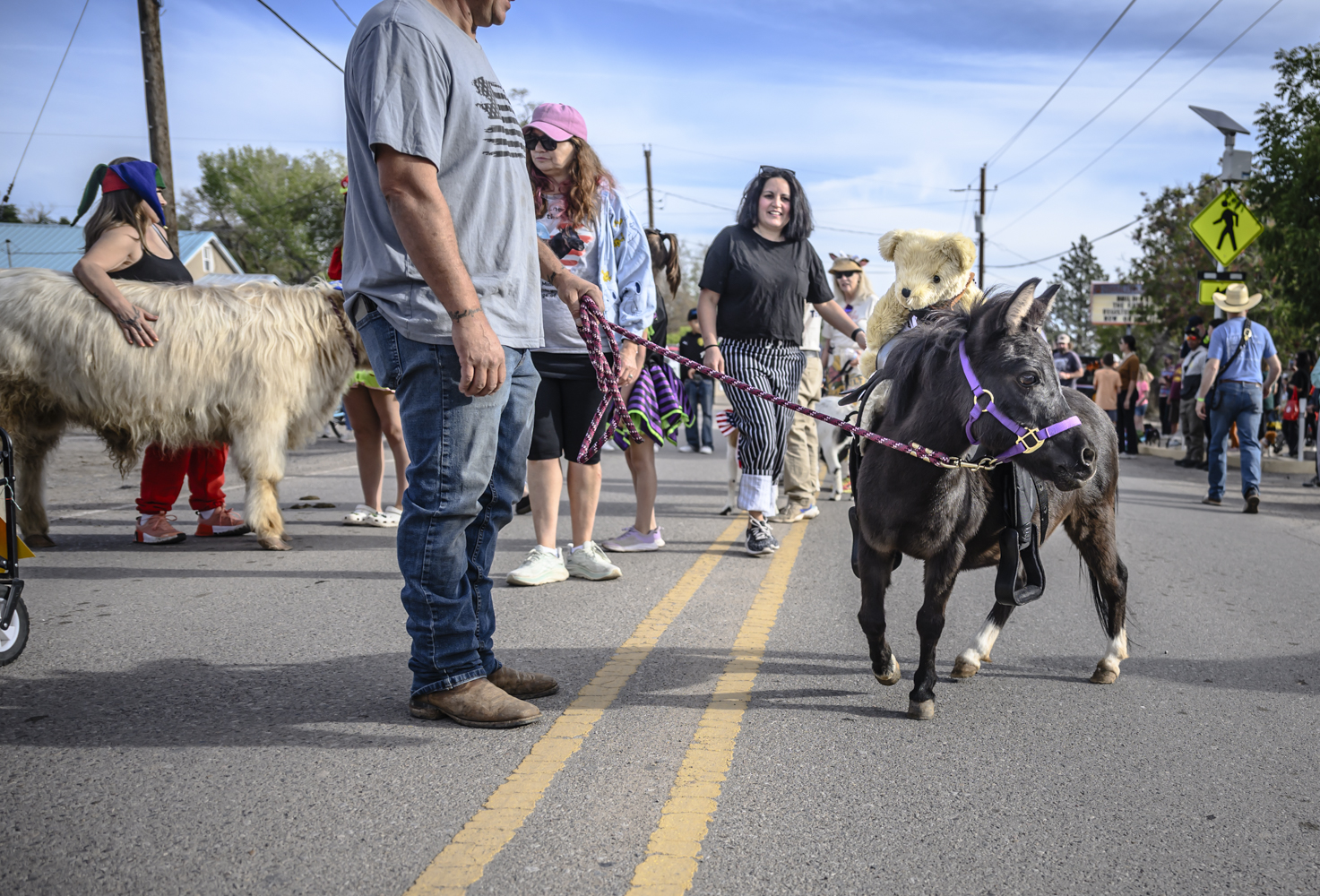 PHOTOS: Corrales Harvest Festival crowns Poptart the pony as new pet mayor