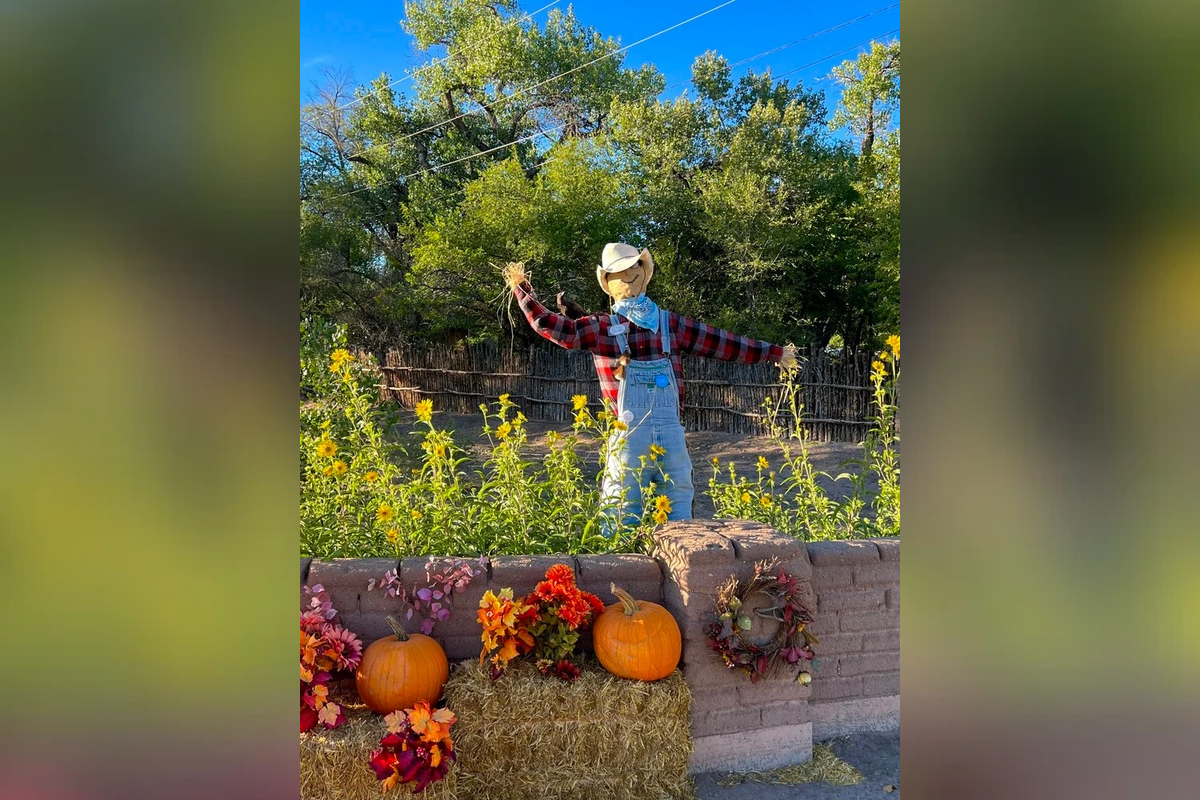 Straw poll: Voting open in Corrales MainStreet Scarecrow Contest