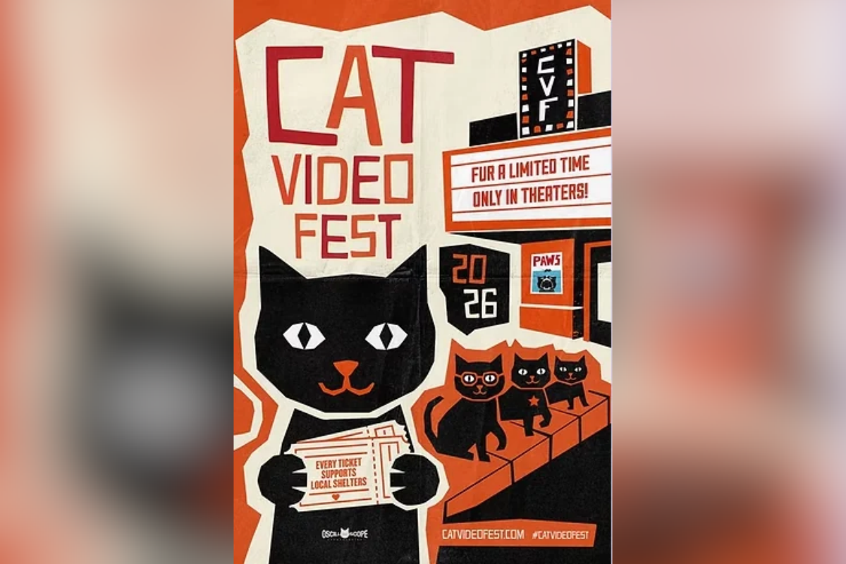 Cat VideoFest claws its way to the Guild to help Corrales rescue find cats forever homes